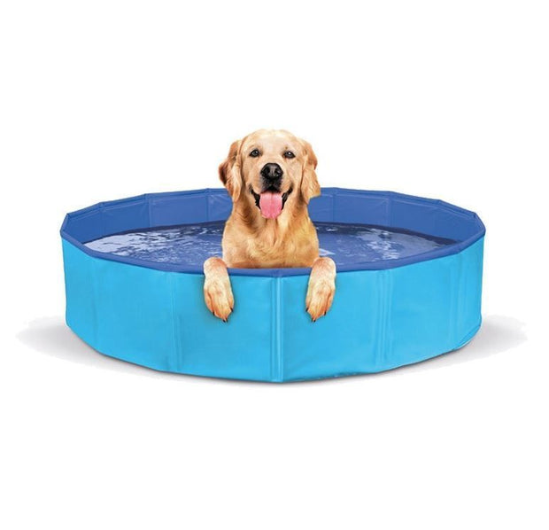 Piscina Portatile Blu per Cani Robusta 120 X 30